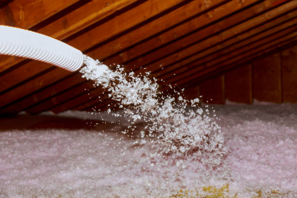 Best Insulation Maintenance and Repair in Sterling, IL