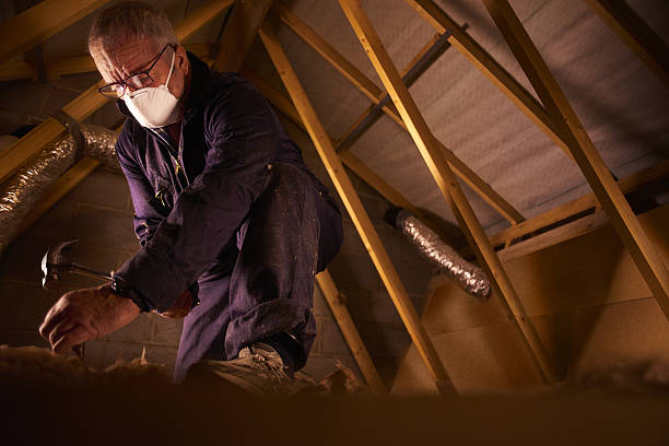 Best Commercial Insulation in Sterling, IL
